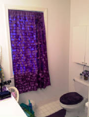 Allegra's bathroom curtain.JPG