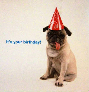 Dogbirthdaycard.JPG