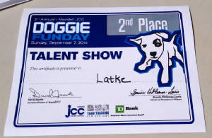 Doggie Funday 2nd place certificate.JPG
