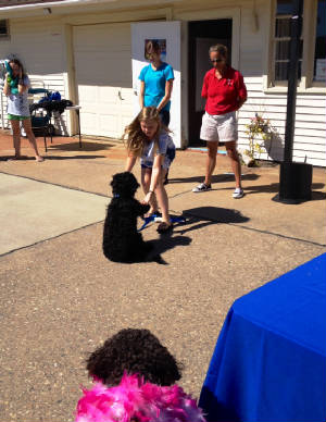 Doggie Funday talent contest.JPG