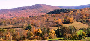 FoliageinBerkshires.JPG