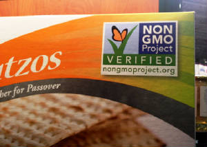 Manischewitz matzo has no GMOs.JPG