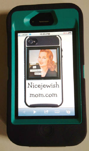 NiceJewishMomiphone.JPG