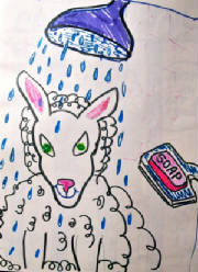 The lamb took a shower.JPG