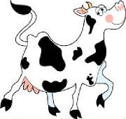 An excellent cow.jpg