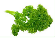 parsley.jpg