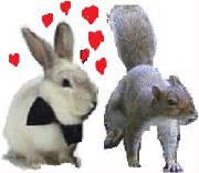 rabbitlovessquirrel.jpg