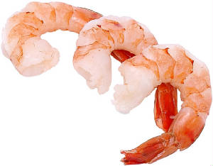 shrimpimage.jpg