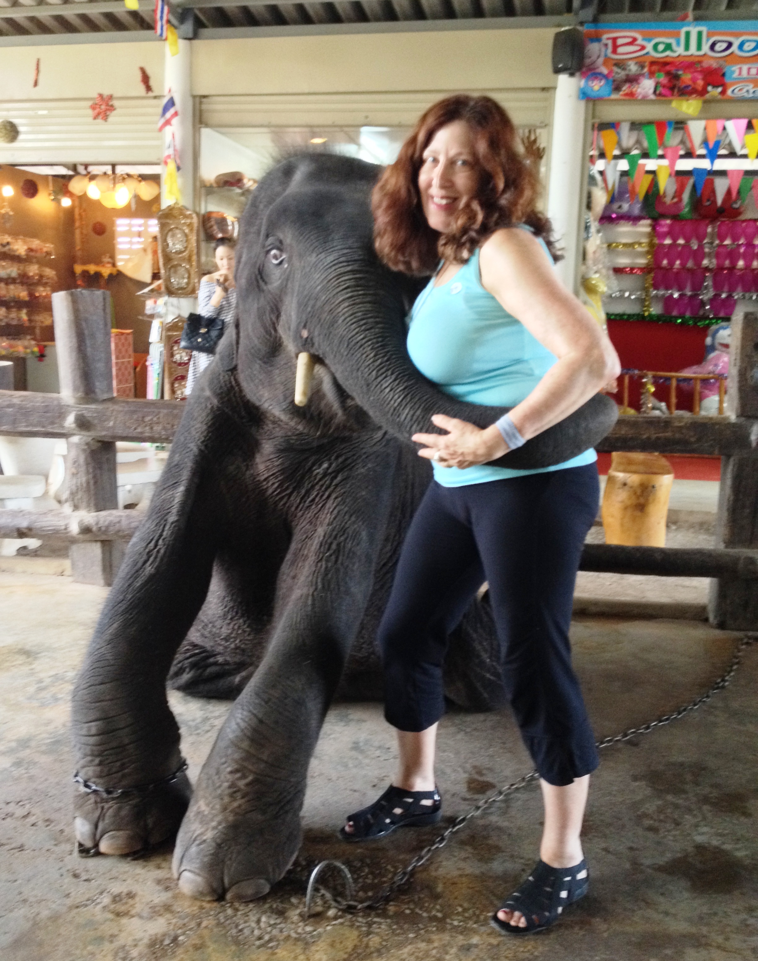 Baby elephant in Bangkok.JPG