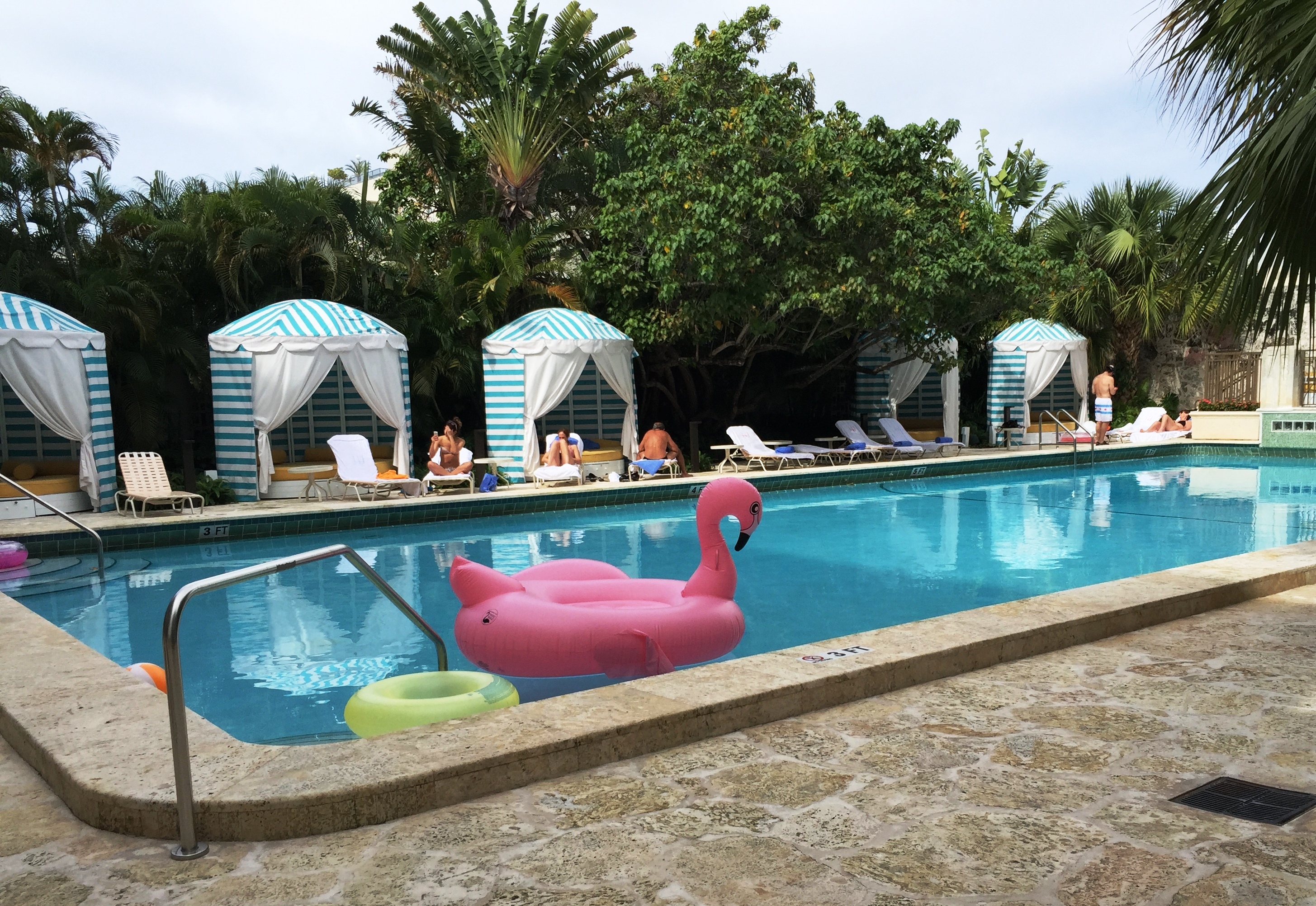 The Hall's pool with a side of flamingo.jpg