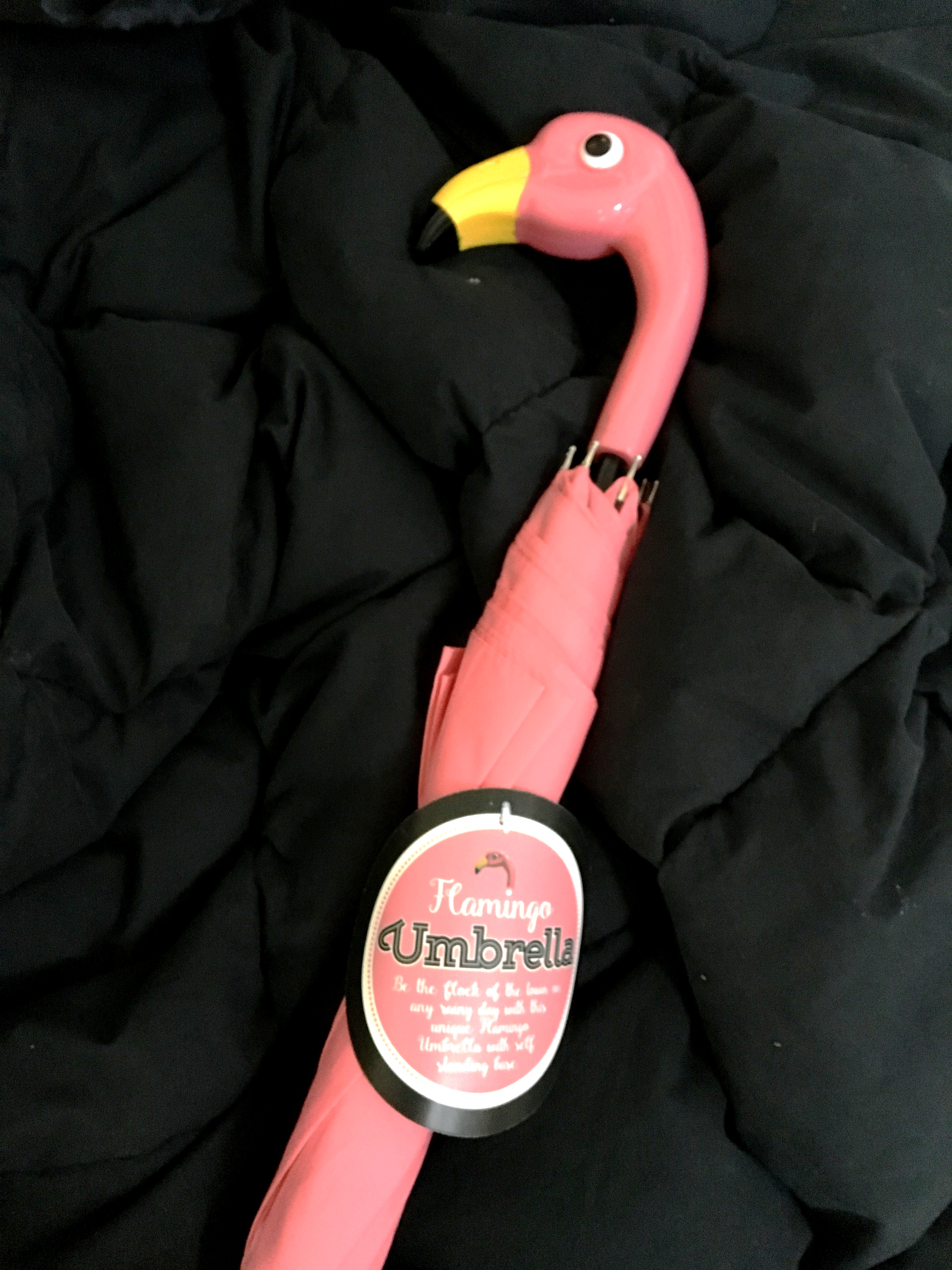 Flamingo umbrella from Allegra.JPG