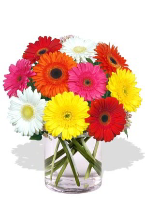 Flowers I sent to Allegra in Hong Kong.jpg