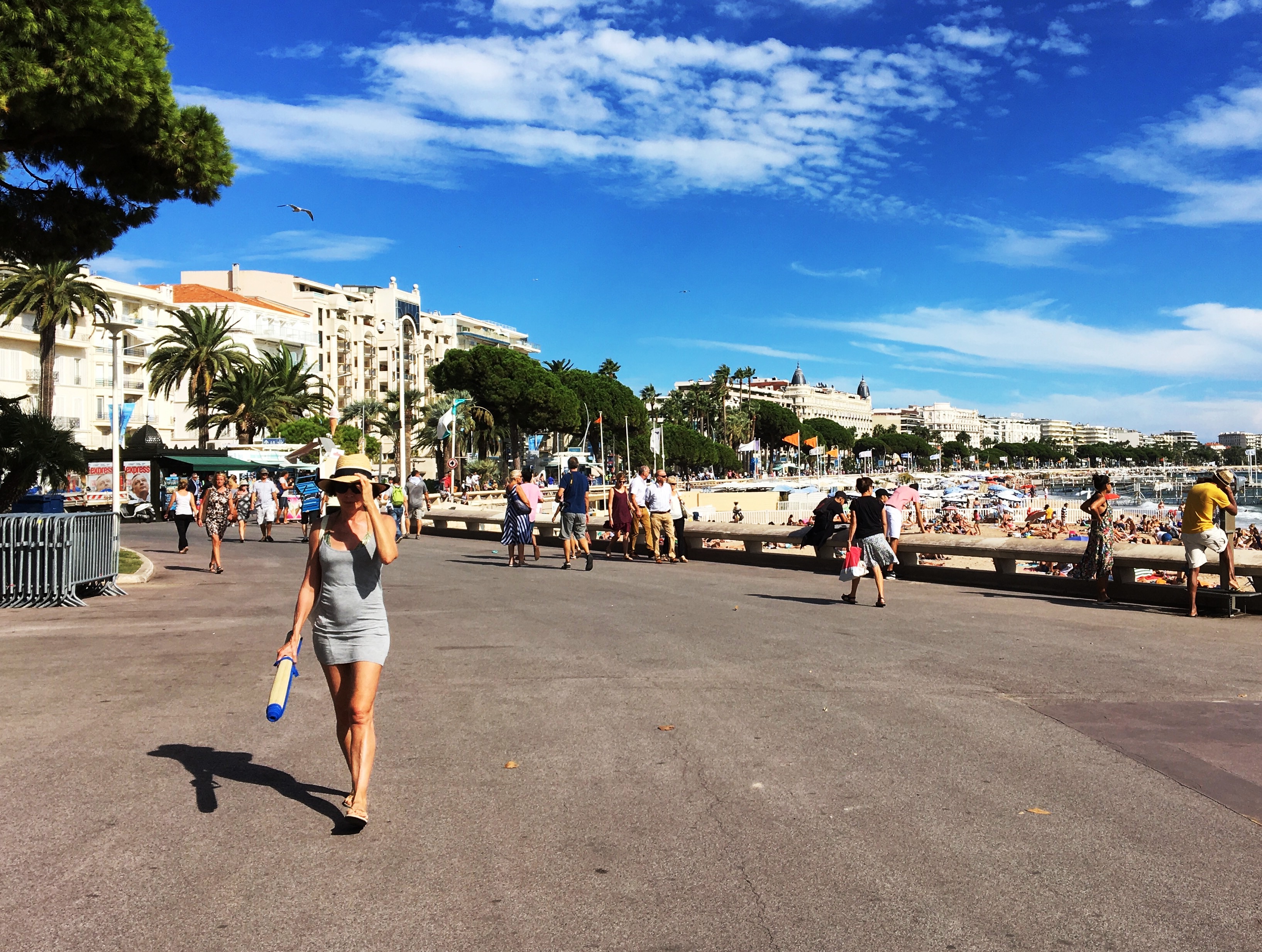 The French Riviera in Cannes.jpg