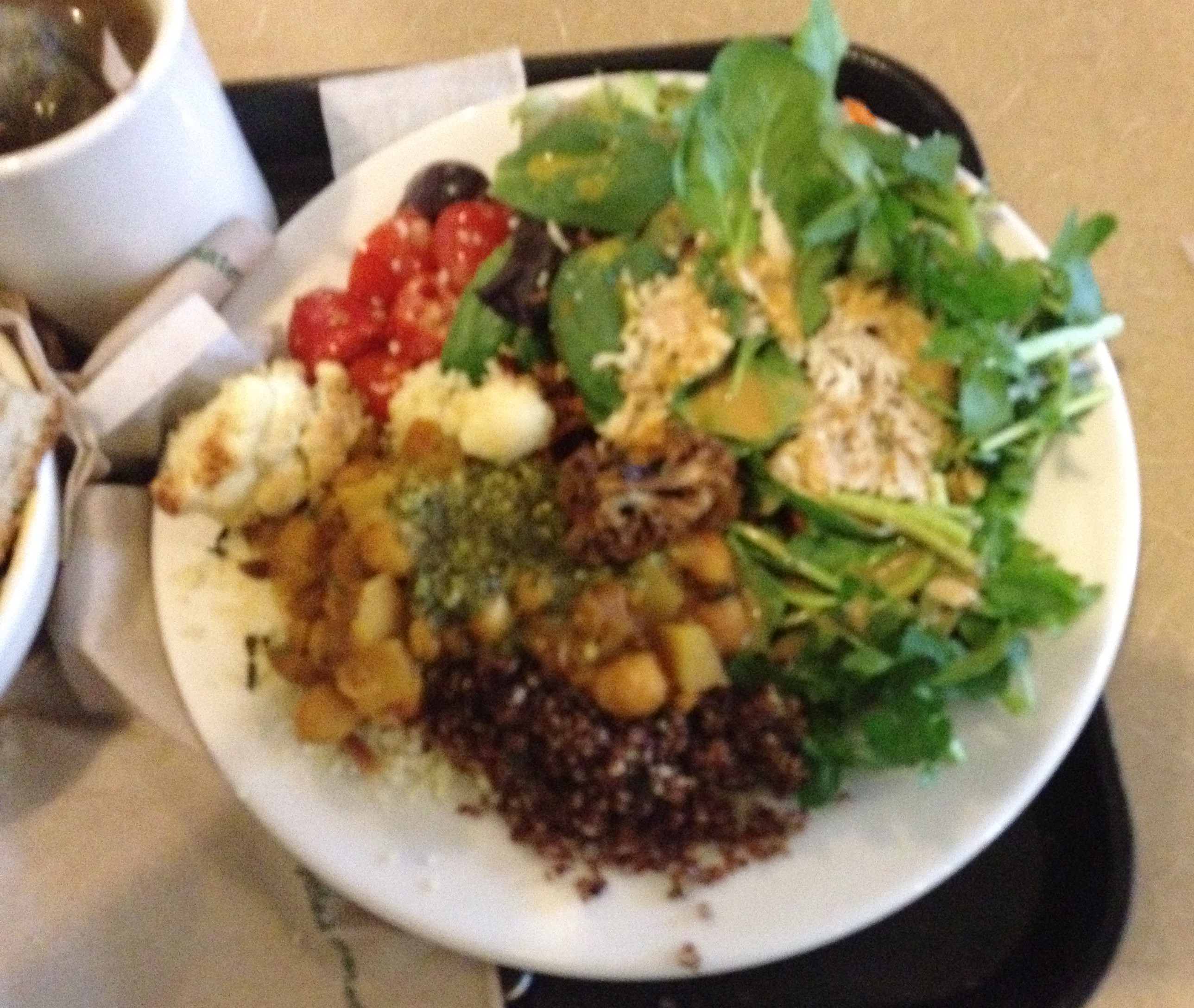 Kripaluplate.JPG