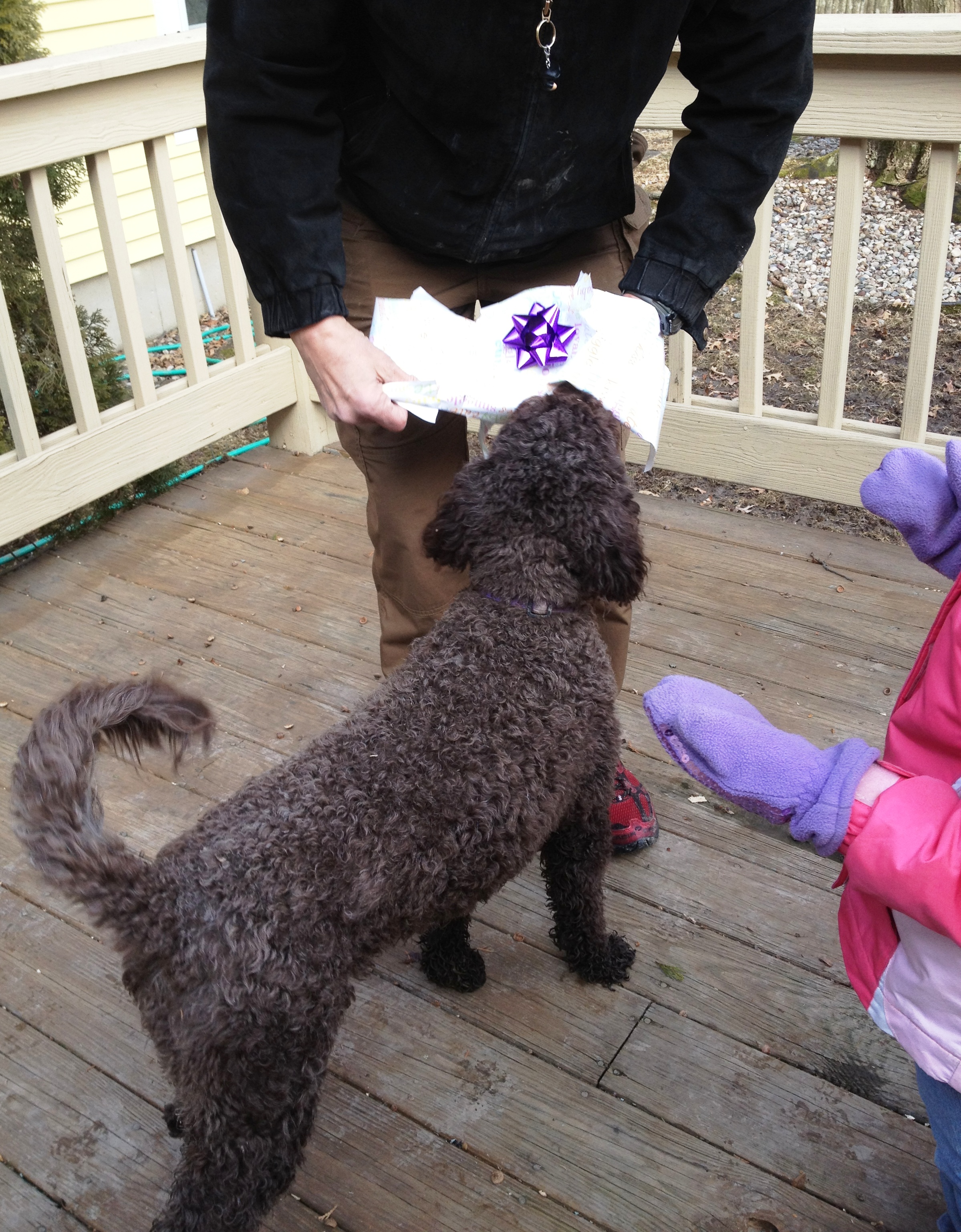 Latke opening her gift.JPG