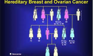 breastandovariancancerchart.jpg