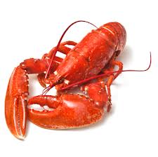 lobsterimage.jpg