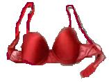 redbra.jpg