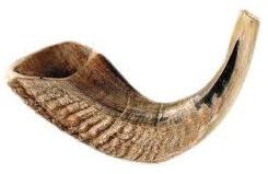 shofar2cropped.jpg